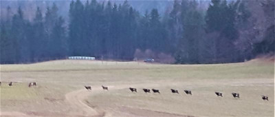 20220127_163125.jpg