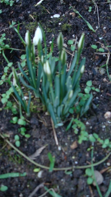 DSC04514.JPG