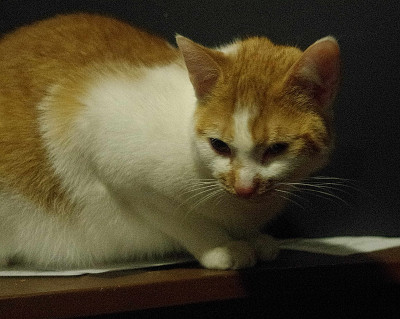 K5110147.jpg