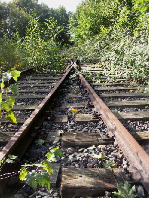 Wege.jpg