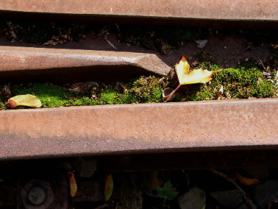 Wege2.jpg