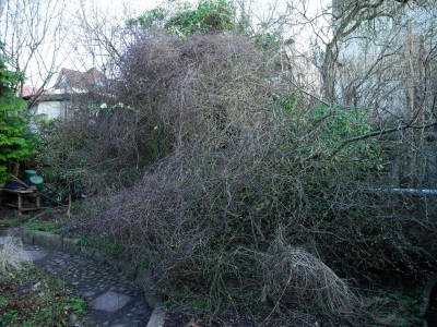 DSCN1928.JPG