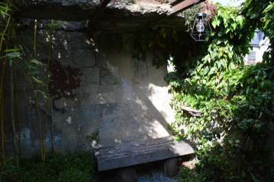 DSC_0784.JPG