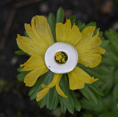 DSC_4284_DxO.jpg