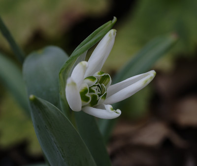 DSC_4285_DxO.jpg