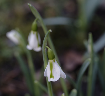 DSC_4290_DxO.jpg