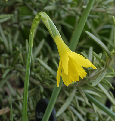 DSC_4299_DxO.jpg