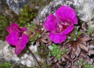 2008-03-13_015.JPG