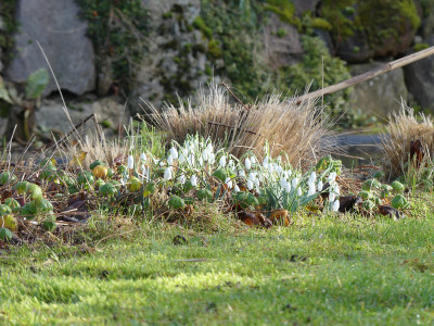 2022-02-12 Gartenimpressionen 9.jpg