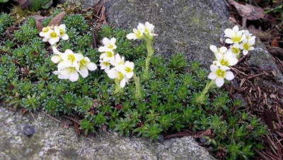 2008-03-13_016.JPG