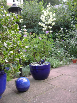 2009-08-03 02.jpg
