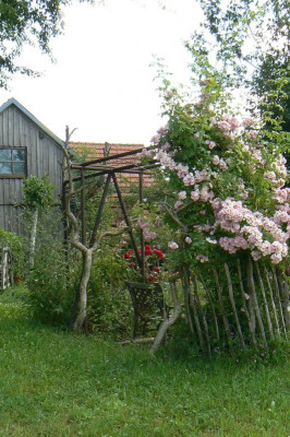 P1100434.JPG