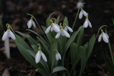DSC_4320_DxO.jpg