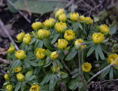 DSC_4329_DxO.jpg