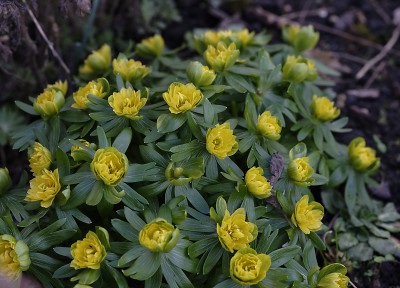 DSC_4331_DxO.jpg