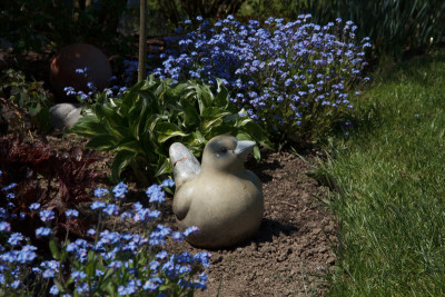 160507_125444.jpg
