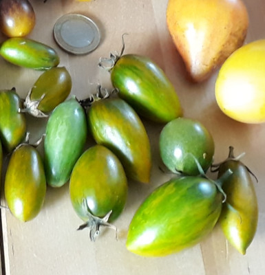 20190825_105635.jpg