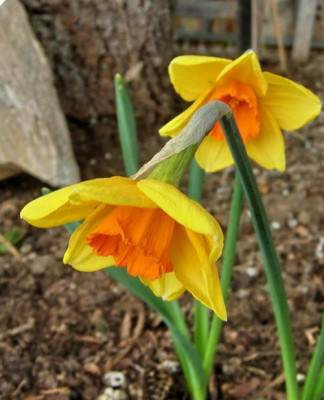 DSCN6400.JPG