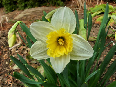 DSCN6388.JPG