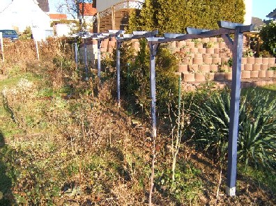 Blaue_Pergola.JPG