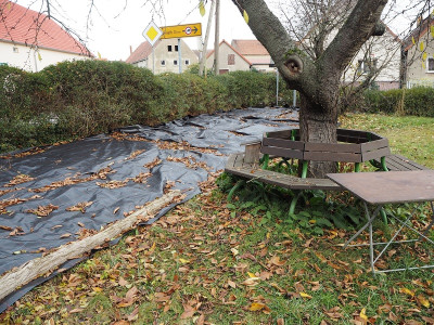 Saxdorf Dreieck 18.11.21.JPG