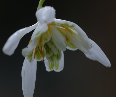 DSC_4348_DxO.jpg