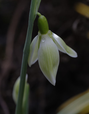 DSC_4354_DxO.jpg