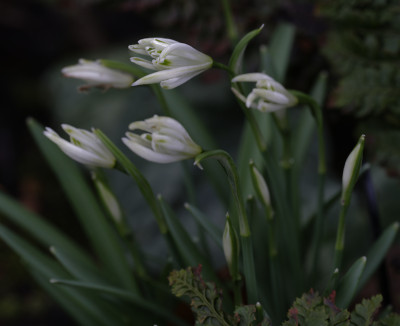 DSC_4368_DxO.jpg
