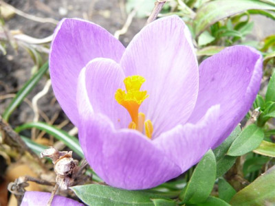 14.03.2008.40.JPG