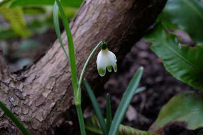 DSCF5943.JPG