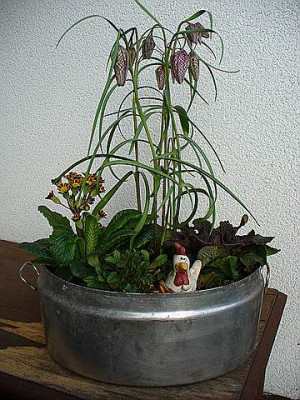 Maerz_20080007.jpg