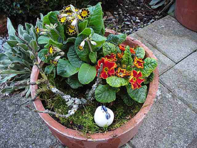 Maerz_20080012.jpg