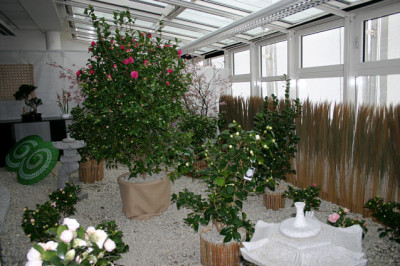 Schonbrunn_1908.jpg