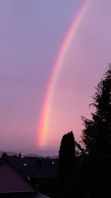 IMG-20220218-WA0034.jpeg