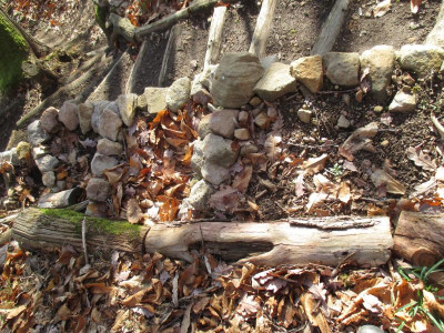 Holztreppe im Wald 20220131_03.JPG