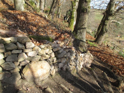 Holztreppe im Wald 20220131_02.JPG