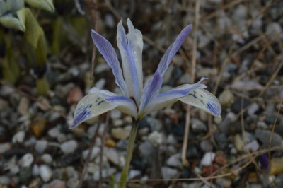 DSC_0357.JPG