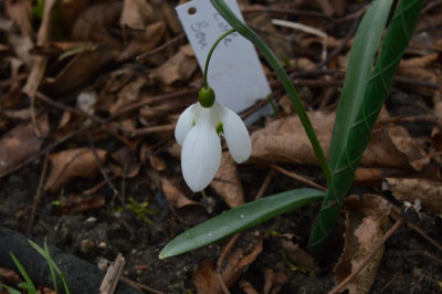 DSC_0282.JPG