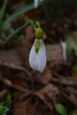 DSC_0297.JPG
