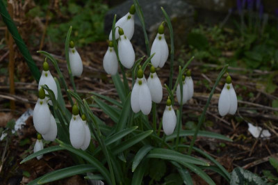 DSC_0360.JPG