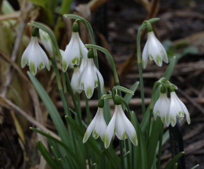 DSC_4395_DxO.jpg