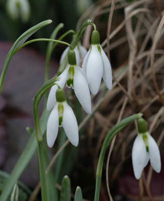 DSC_4396_DxO.jpg