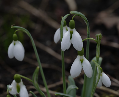 DSC_4398_DxO.jpg
