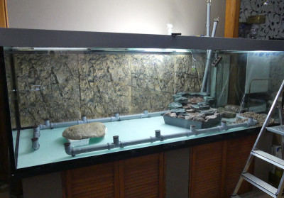 2022-02-16 Terrarium 1.jpg