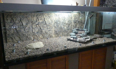 2022-02-16 Terrarium 3.jpg