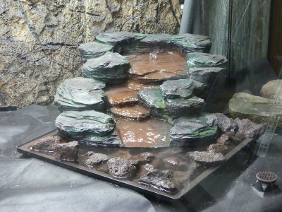 2022-02-16 Terrarium 5.jpg