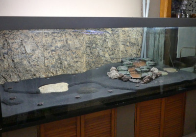 2022-02-17 Terrarium 2.jpg
