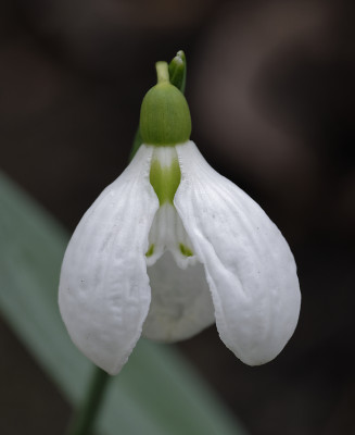 DSC_4392_DxO.jpg