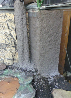 2022-02-20 Terrarium 1.jpg