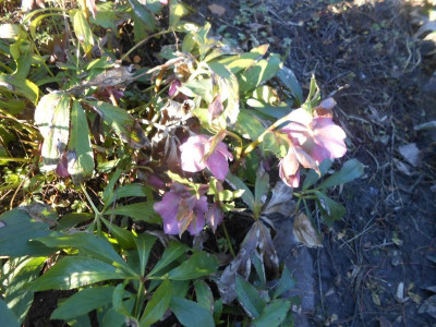 DSCN3566.JPG